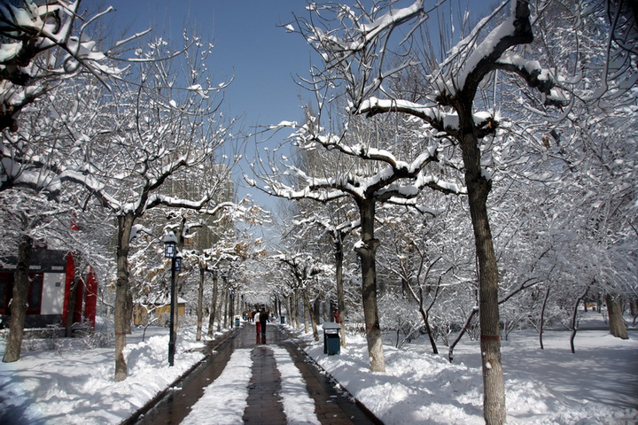 【北京下土,新疆下雪摄影图片】乌鲁木齐市风