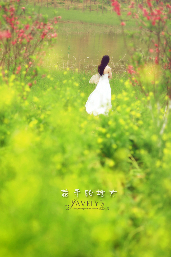 花开的地方