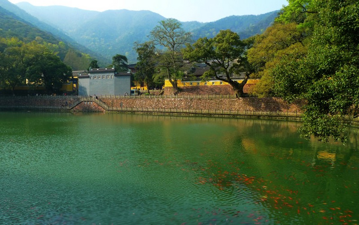 天童寺之春