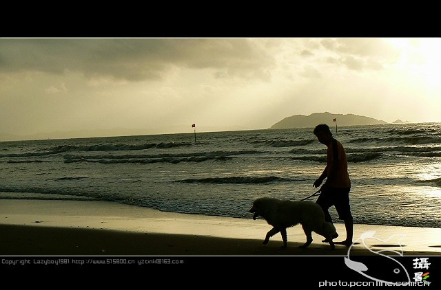 【男人.狗.大海--早上活动记录摄影图片】莱芜