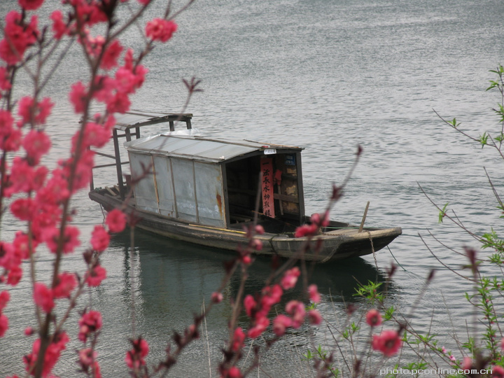 桃花潭水深千尺