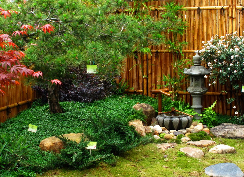 香港花卉展 – 庭院,花艺篇