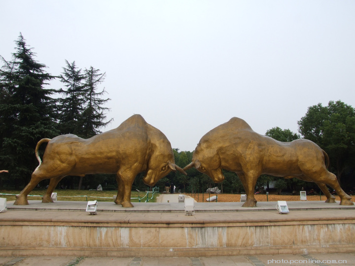 【金华的婺州公园摄影图片】浙江金华风光旅游