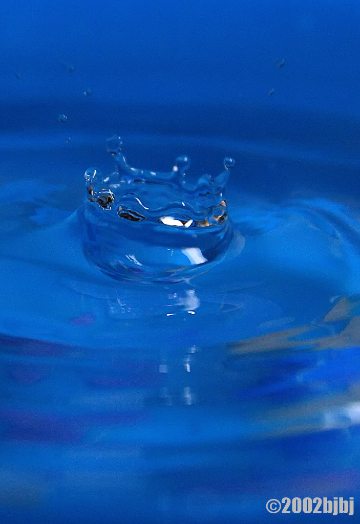 一盆水