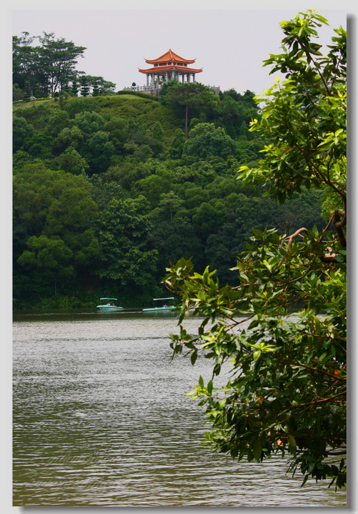 深圳仙湖植物园