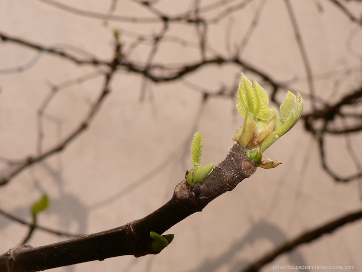 【春天来了!摄影图片】梅州生态摄影_路很长,