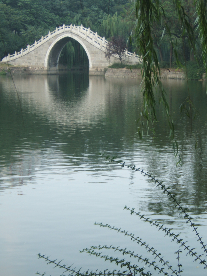 【桥水树摄影图片】合肥包河公园风光旅游摄影