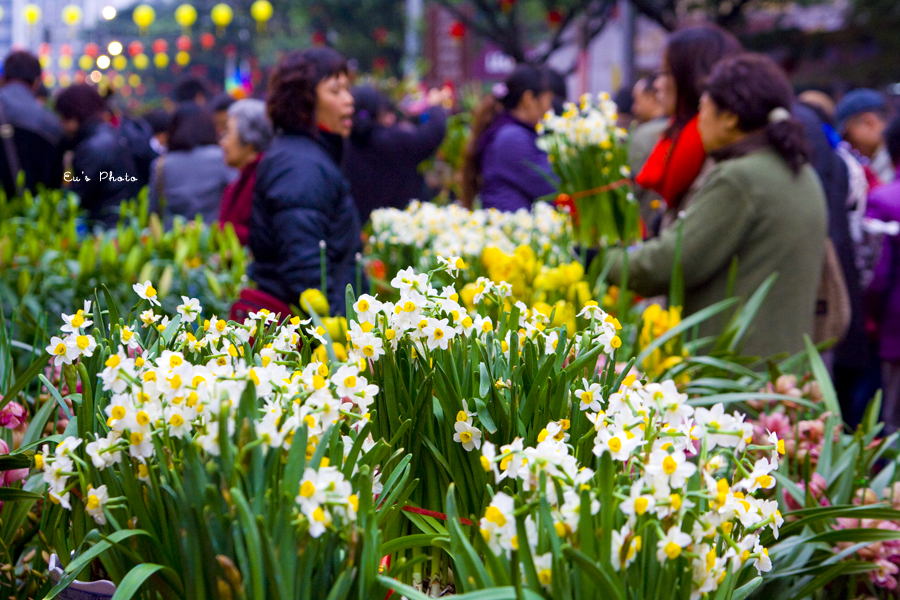 行花街(花果篇)