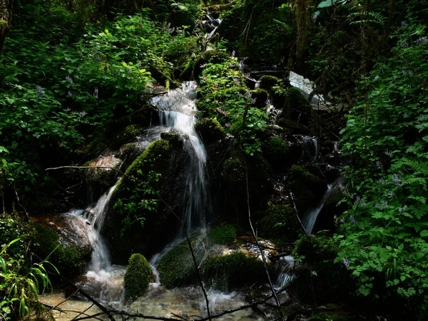 【山涧小溪摄影图片】四川汶川三江生态旅游区