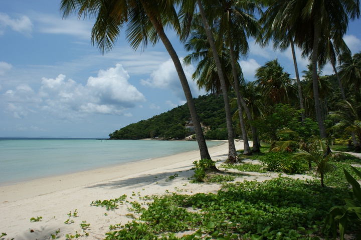 【阳光.沙滩.椰子树摄影图片】泰国风光摄影