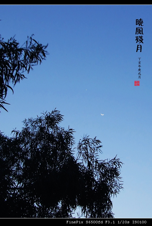 晓风残月(单张)