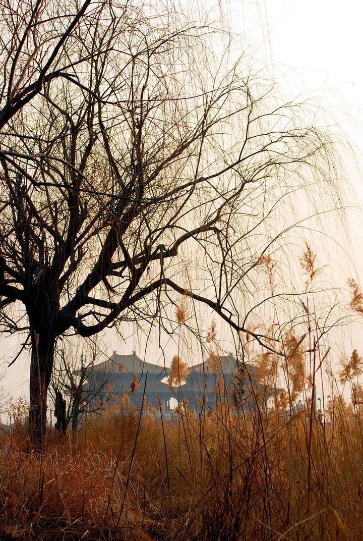 【冬天景象摄影图片】开封生态摄影_汴梁风情