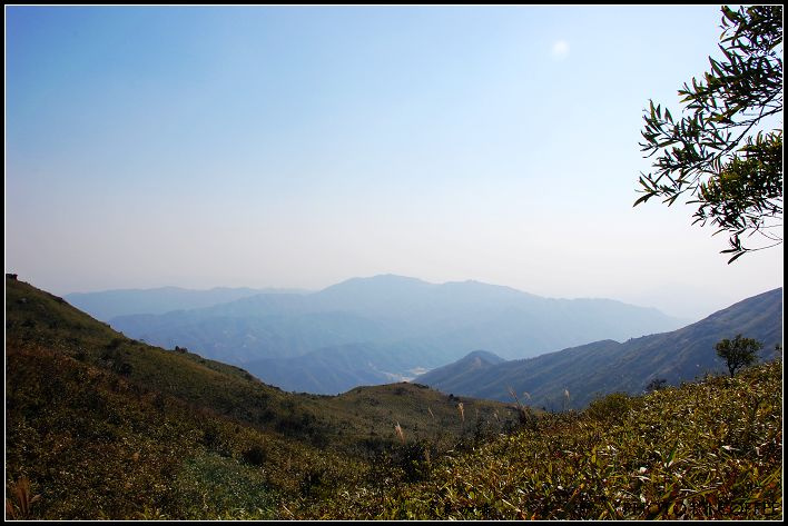 穿越斗门黄杨山(共 10 p)