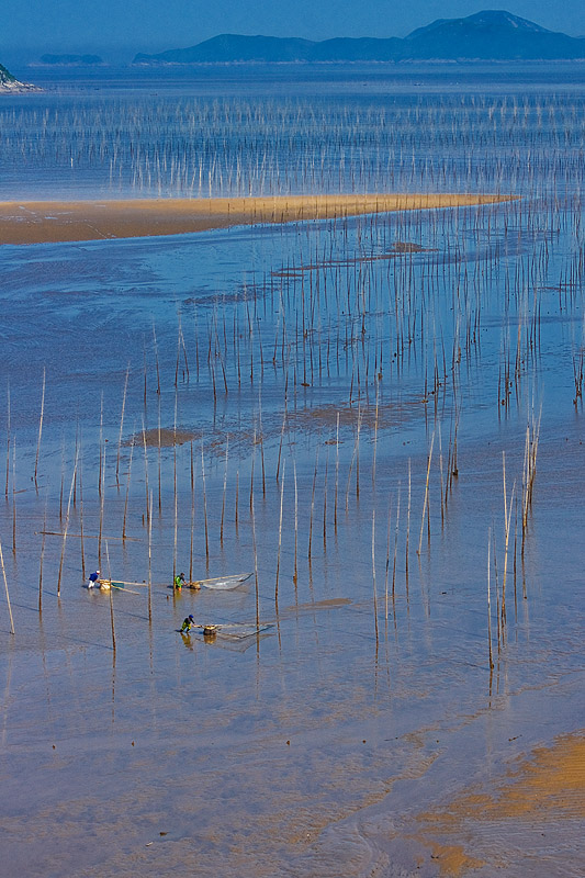霞浦的滩涂霞浦的海