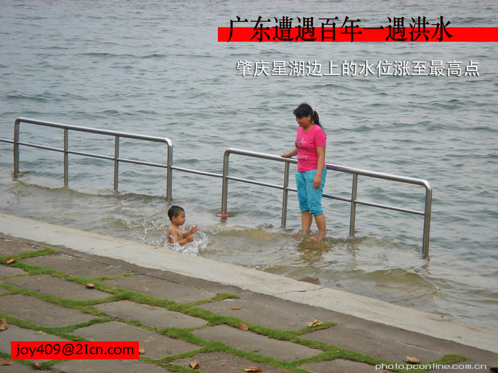 【2006---广东百年一遇大水灾摄影图片】肇庆