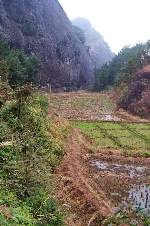 大山深处有人家