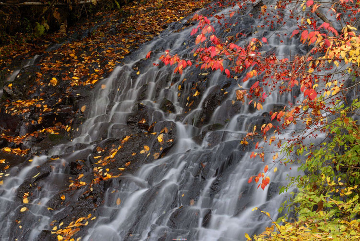 【八道沟的秋天摄影图片】吉林 长白山附近风