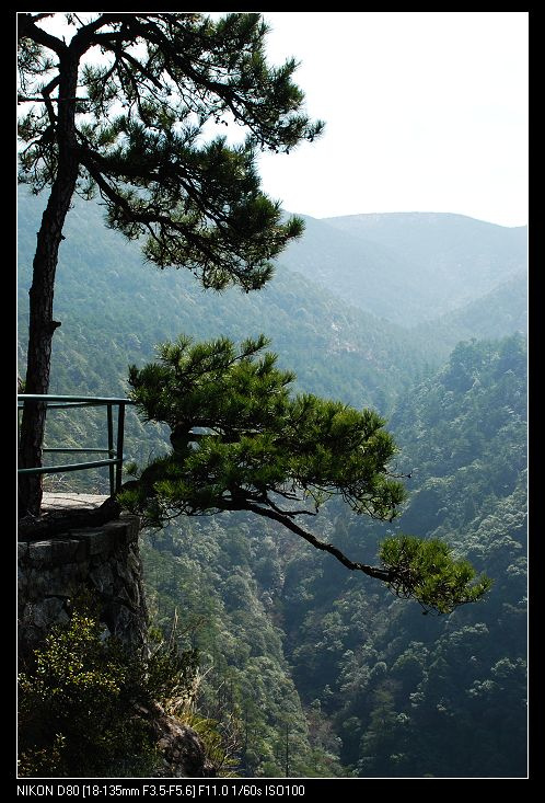 浙江龙泉山风光