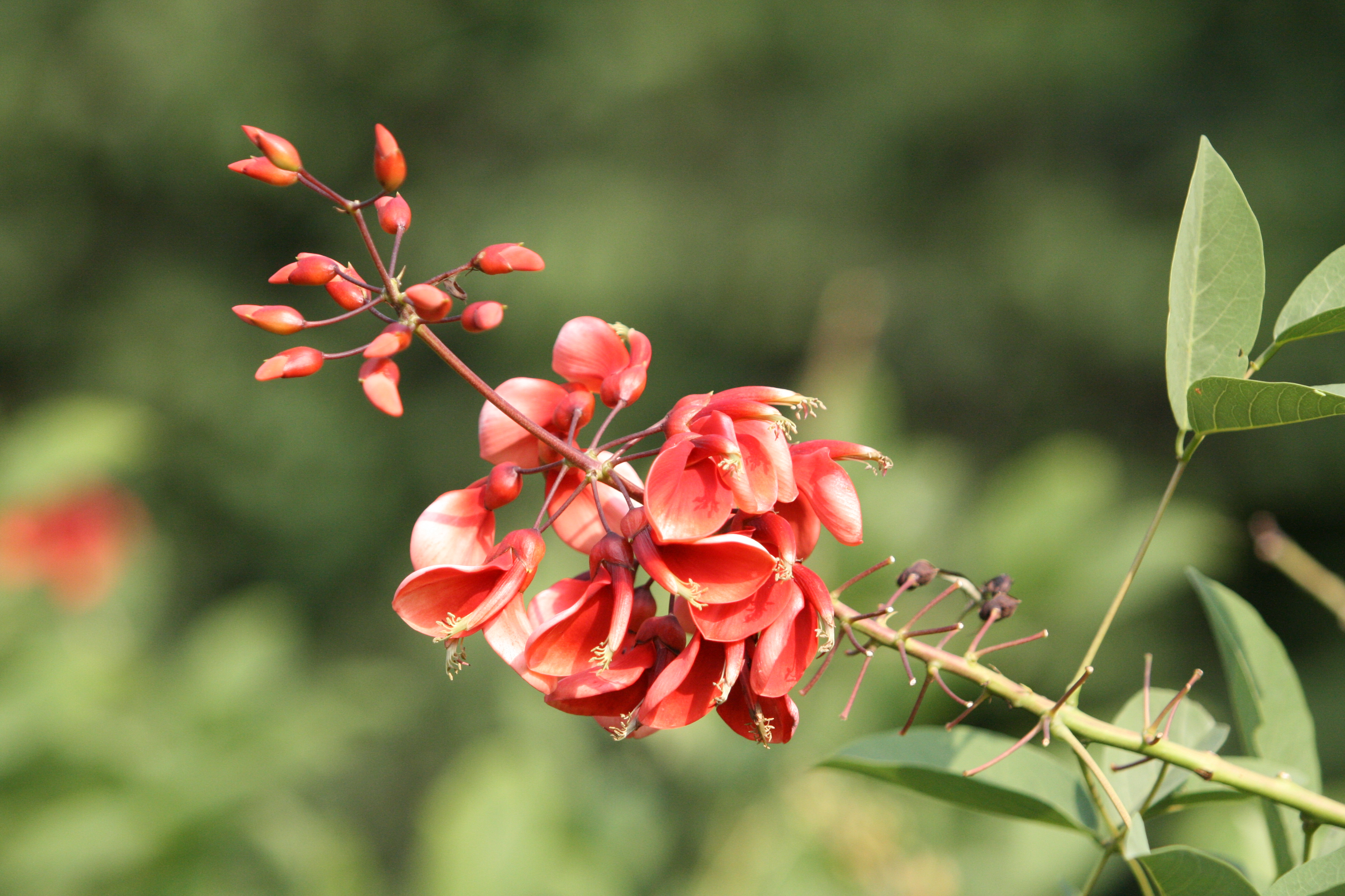 佳能eos 400d 评测样张欣赏