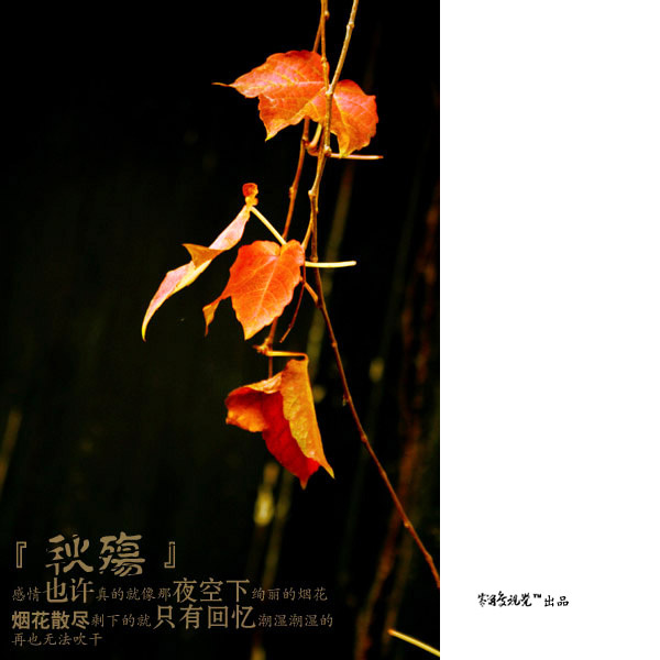 秋殇之风干的相思