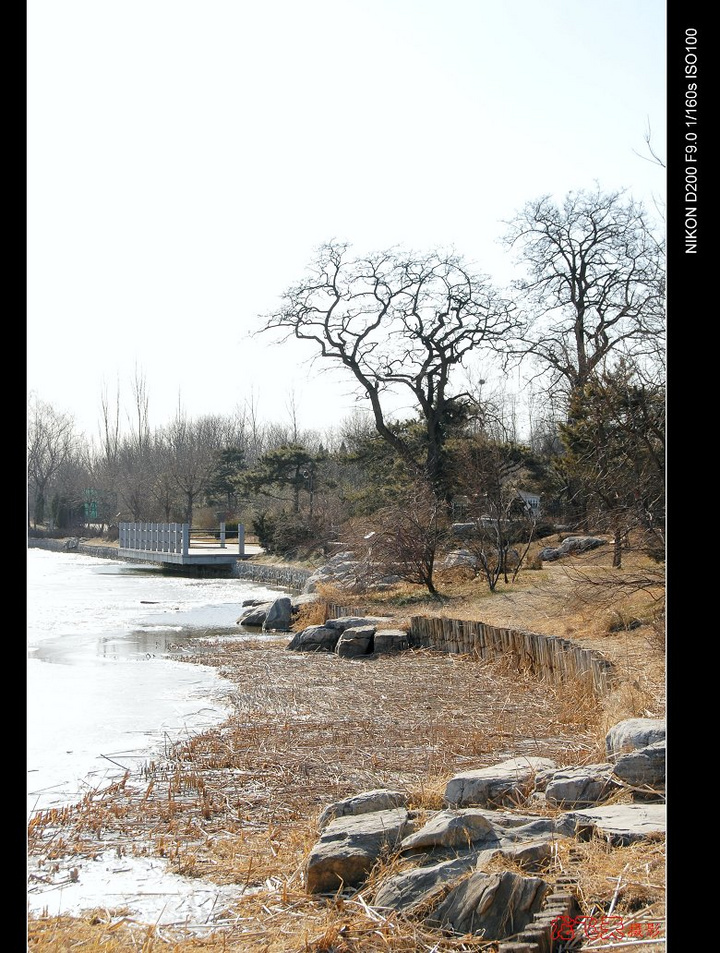 【北京植物园之冬摄影图片】北京风光摄影_龙