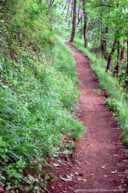 山间小路