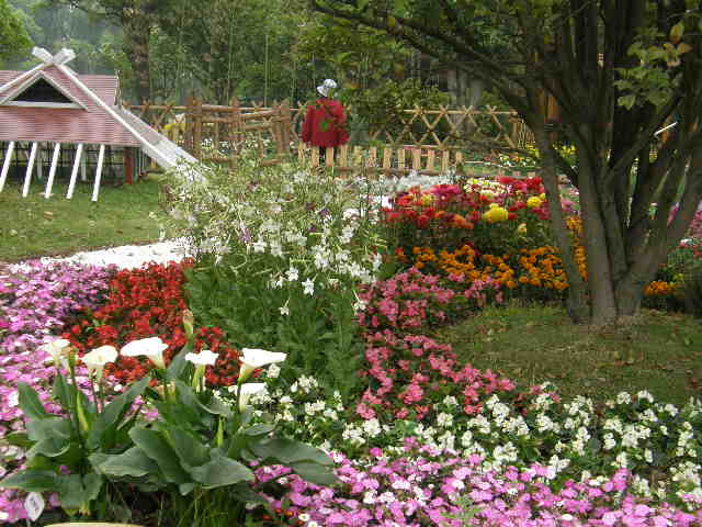 (二)植物园花展场景与盆景