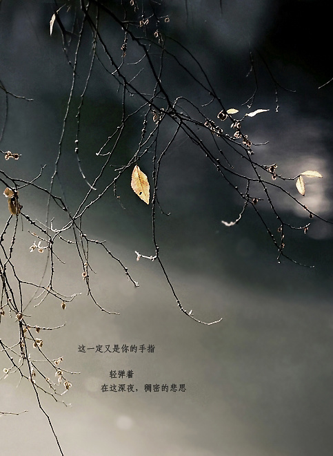 深夜里听到乐声