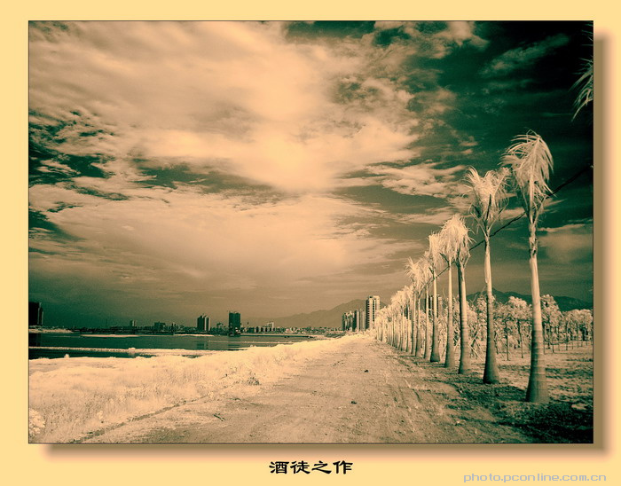我们一起走过的路