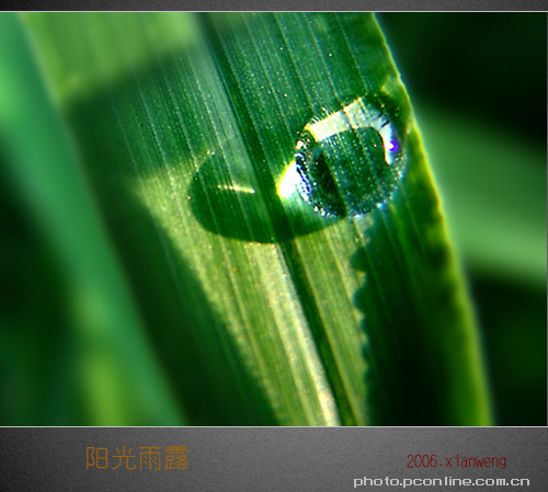 《阳光雨露》