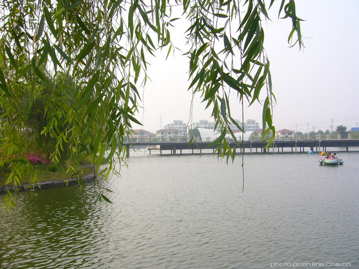 【苏北老区--泰兴摄影图片】泰兴风光摄影_流