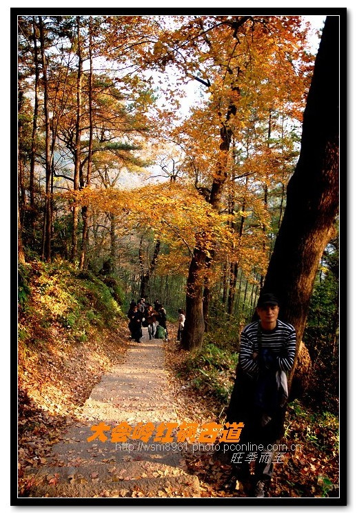红枫古道