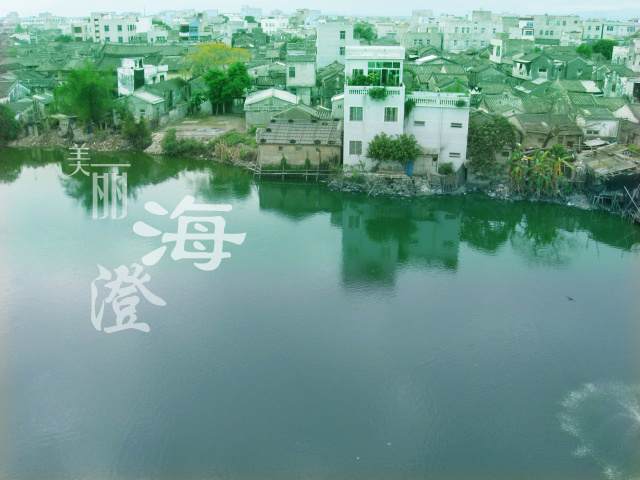 【美丽澄海摄影图片】澄海纪实摄影_绿茶慕斯