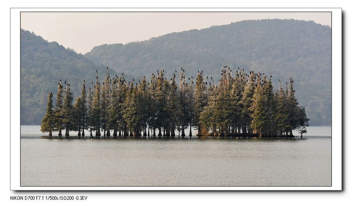 武汉东湖落雁景区(共10p)