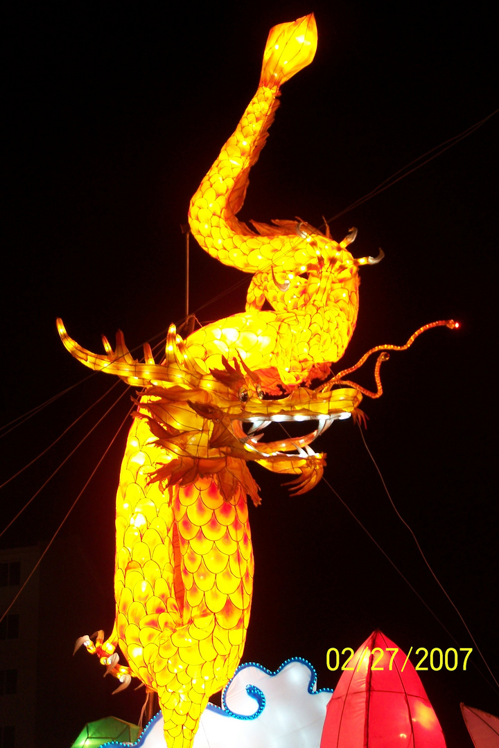 金金龙
