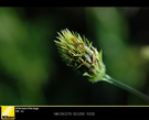 ῵Micro 55mm f/2.8ֶͷ