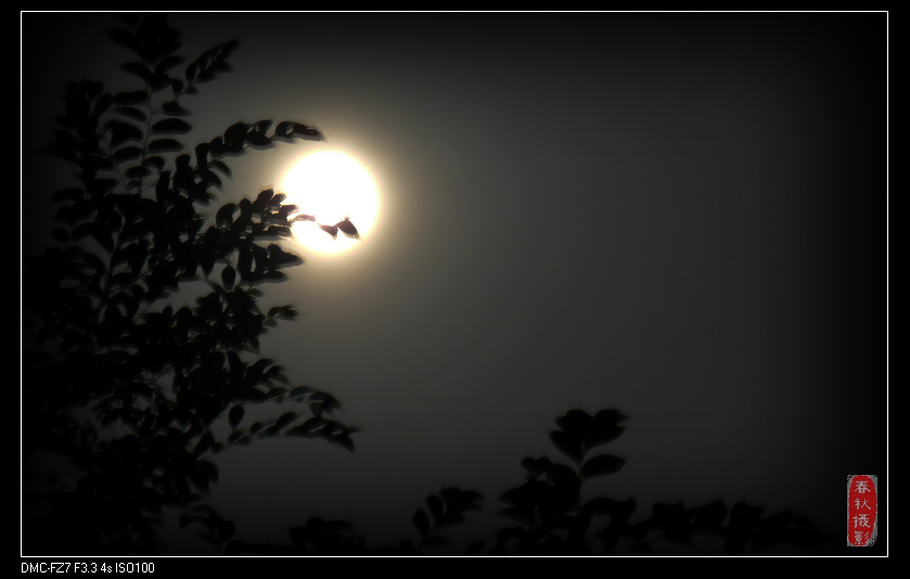 中秋节拍月亮
