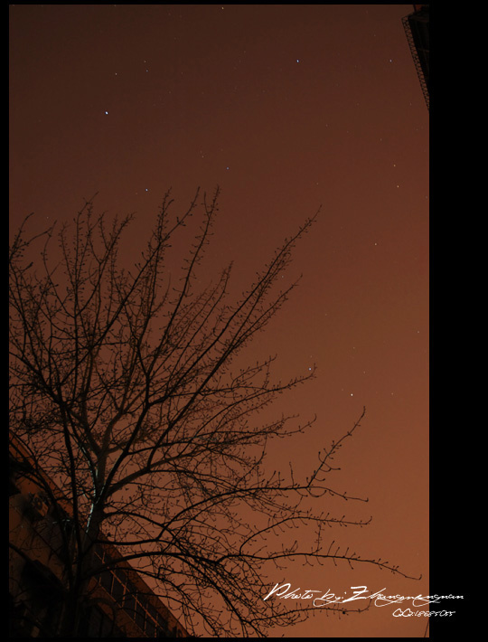 【-=冬夜星空=-摄影图片】自己家楼下风光摄影