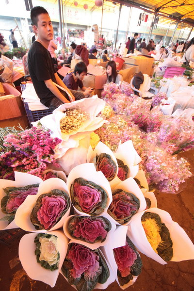 【花卉市场掠影摄影图片】广州芳村岭南花卉市