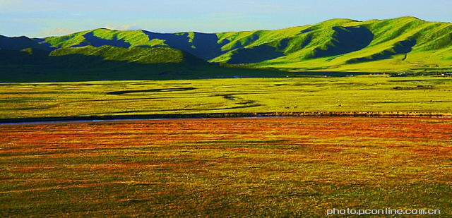【若尔盖红原大草原--3摄影图片】若尔盖风光