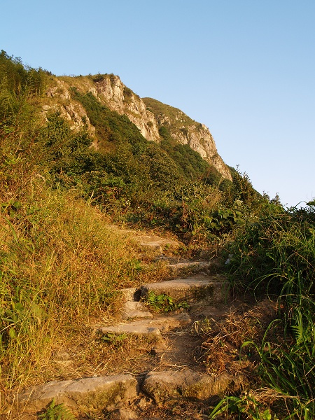 山路美景