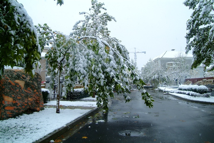 【2009的第一场雪摄影图片】廊坊风光摄影
