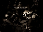 silent memory