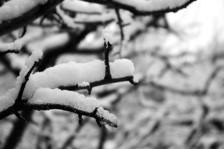 瑞雪兆丰年