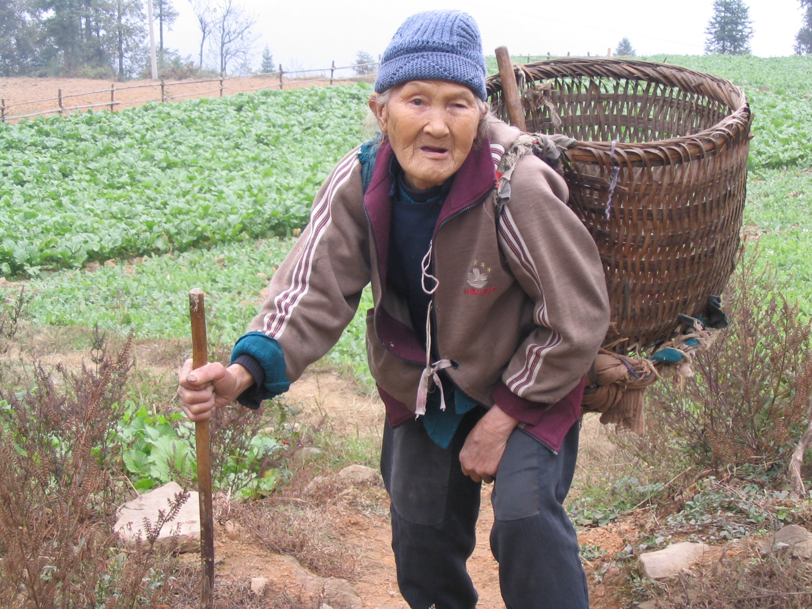 农村留守老人 在贫困与寂寞中老去_甘肃频道_凤凰网