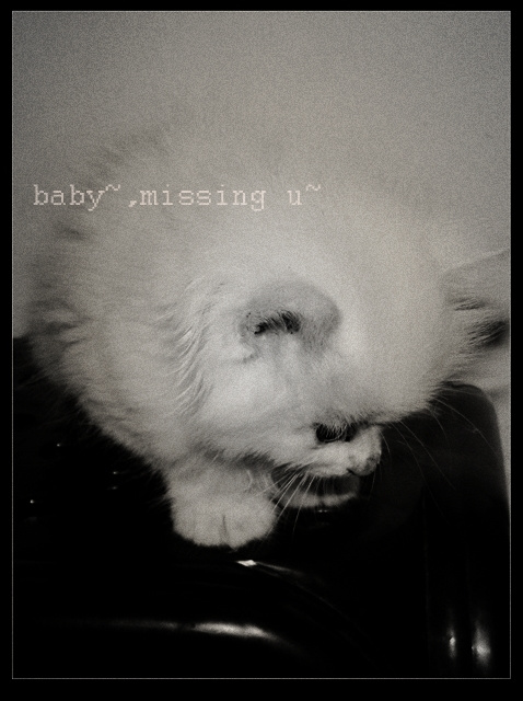 baby~missing u~(ëë)