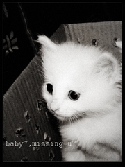 baby~missing u~(ëë)