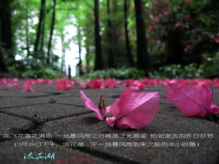 花开花落
