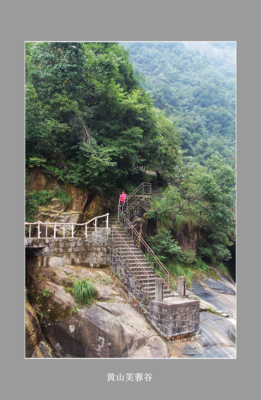 【黄山芙蓉谷摄影图片】黄山风光旅游摄影_风竹秋韵