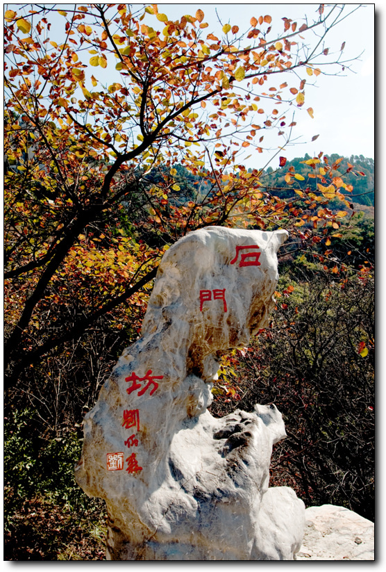 石门坊红叶